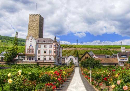 Rudesheim-fortress